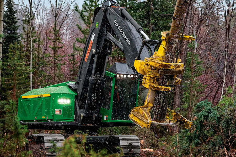 Stump Removal